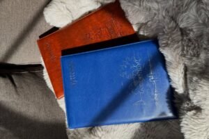 Hyttebok og mindfulness